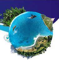 Image result for Language Java/Python