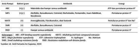 Fakta Medis terkait Resistensi Antibiotik - Alomedika