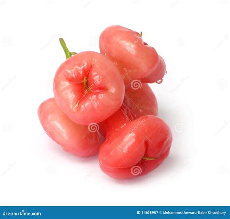 Manzana Del Agua O Manzana Color De Rosa Imagen de archivo - Imagen de ...