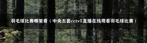 在现场看CCTV5直播 是什么体验？_新浪新闻