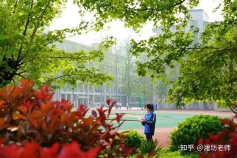 2023潍坊高中学校排名最新排名_初三网
