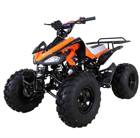 Buy Tao Tao 125 ATV ata-125 CHEETAH Online at lowestpriceatv.com