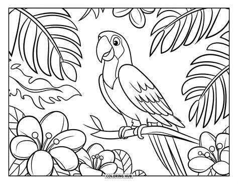 Image result for Parrot Coloring Pages