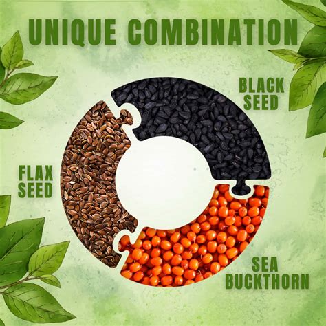 Buy DR. MOREPEN OMEGA 3 6 7 9 VEGETARIAN CAPSULES FOR HEALTHY HEART ...