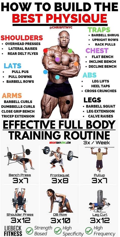 Image result for Muscle Build Types