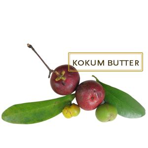 Kama Ayurveda Kokum and Almond Body Butter, 80g : Amazon.in: Beauty