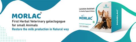 VetCetera-Innovative Vertinary Animal Heath