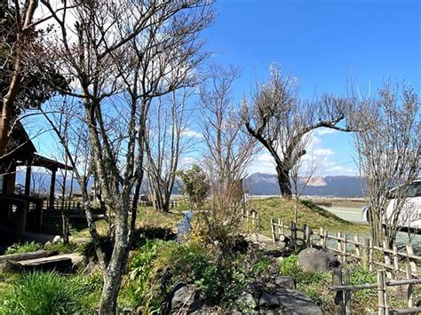 UMEKURA, Aso - Menu, Prices & Restaurant Reviews - Tripadvisor