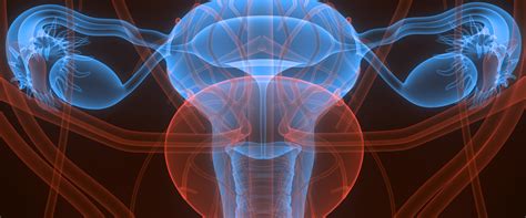 Image result for Removing Fallopian Tubes