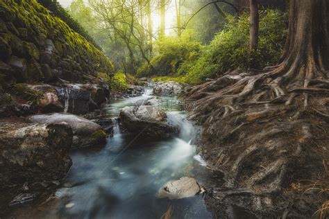 小溪流水图片摄影图__山水风景_自然景观_摄影图库_昵图网nipic.com