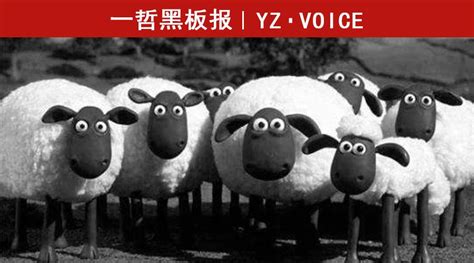 什么叫做羊毛党（羊毛党是什么意思）_华夏文化传播网