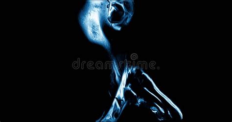 Image result for Body Parts Scan