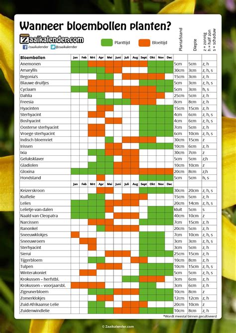 bloembollen planten wanneer tulpen lelies kopen plantafstand schaduw zon plantdiepte bollen ...