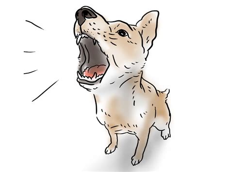 Barking Dog | How to Be Mindful With This Problem