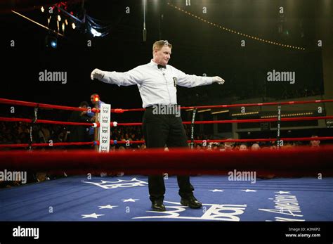 Boxing Match Referee 的图像结果