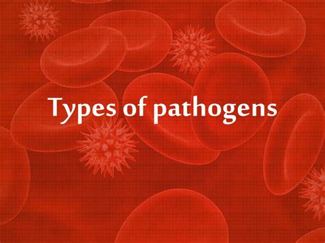 Image result for Different Types of Pathogens