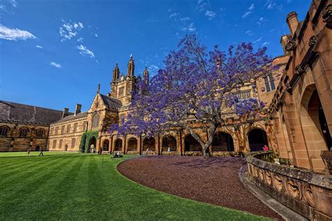 悉尼大学校园地图及各学院位置详解 - 留澳规划帝