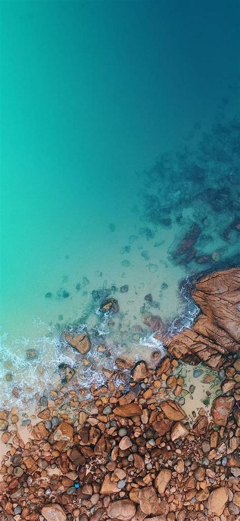 Android 12 Wallpaper 的图像结果