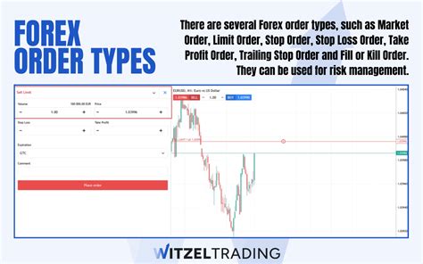 Order Types Explained 的图像结果