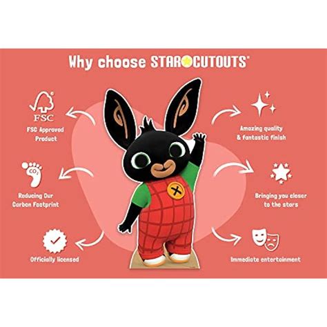 STARCUTOUTS SC4112 Bing and Flop Star Mini Bing Animation India | Ubuy