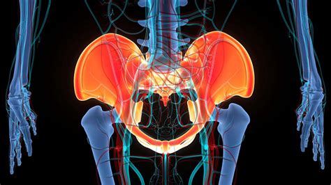 Can Physical Treatment Reward Pelvic Pain?
