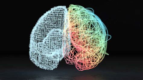 Google ने बनाया इंसानी दिमाग का सबसे बारीक नक्शा, होगा ये फायदा ...