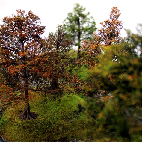 Making Realistic Model Fir Trees 的图像结果