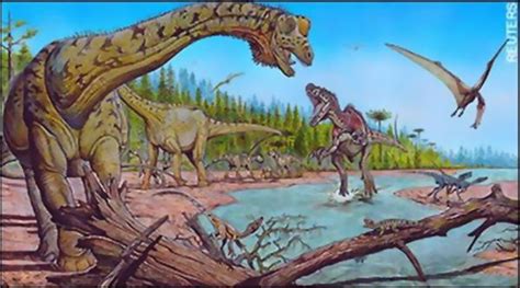 关于恐龙的资料（各种恐龙介绍大全）_环球信息网