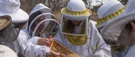 Kimmel Bee Tour, Kimmel Orchard, Nebraska City, 4 September 2025 ...