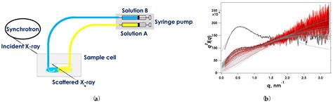 Experimental Advances in the Real-Time Recording of Cross-Linking ...