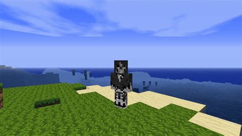 Image result for Animation Mod Minecraft