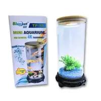 Buy Bluepet TP10 Mini Aquarium – High Definition 4K Tank