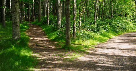 Dividends of policy divergence | Manulife Investment Management