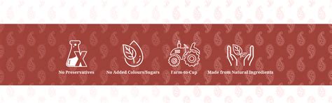 MASALA Ready-to-use Tea Brew – TrueSouth