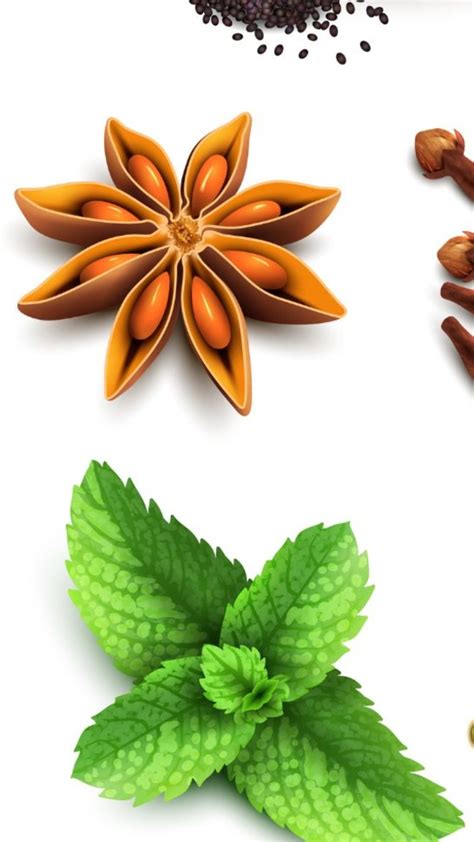 Benefits Of Ashwagandha: अश्वगंधा के 6 फायदे
