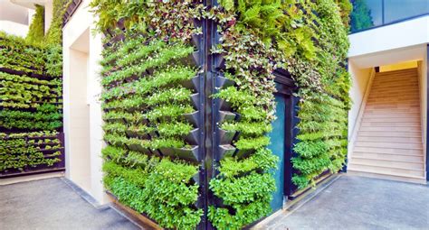 Urban garden ideas: these urban garden designs will make your city green