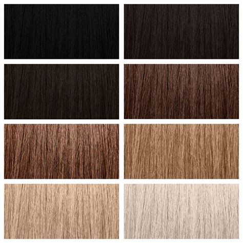 Image result for Hair Color Developer