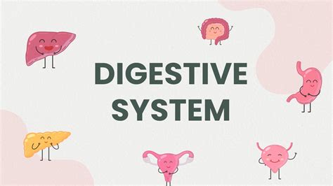 Image result for PowerPoint About Digestive System