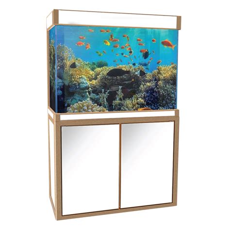 100 Gallon Fish Tank