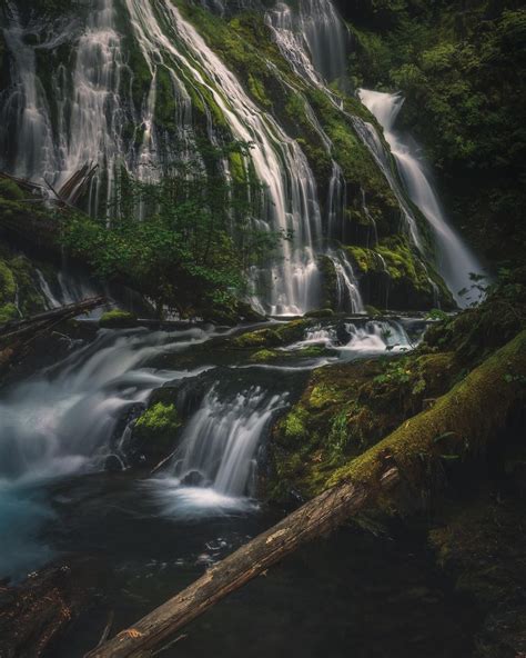 Nature Landscape 的图像结果