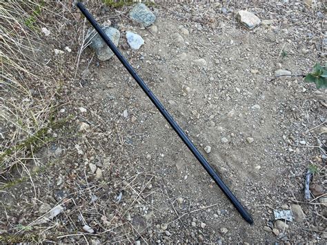 Stakes for Raspberry Plants 的图像结果