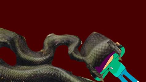 Bernie's Python 的图像结果