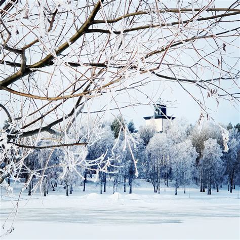 Hello Bombshell 的图像结果