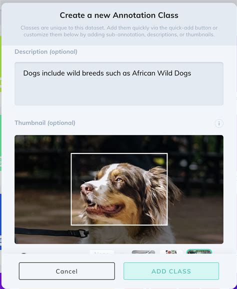 Image result for Bounding Box Annotation Tool
