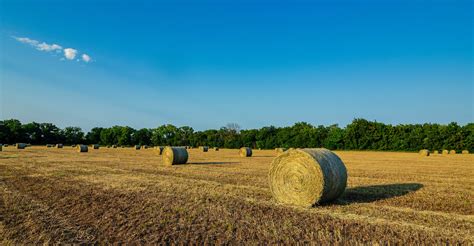 Buy or bale: Run these numbers to calculate hay costs - High Plains Journal