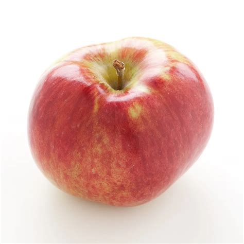 Image result for Apple System.Data