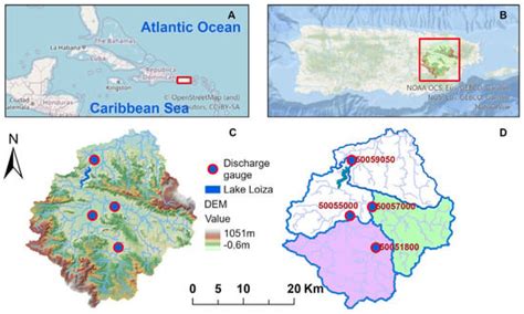 Forest Cover and Locality Regulate Response of Watershed Discharge to ...