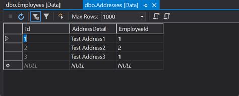 C# Entity Framework Core Code First 的图像结果