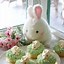 Image result for Easter Bunny Cake Decorations