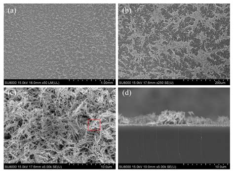 Light Energy Conversion Surface with Gold Dendritic Nanoforests/Si Chip ...